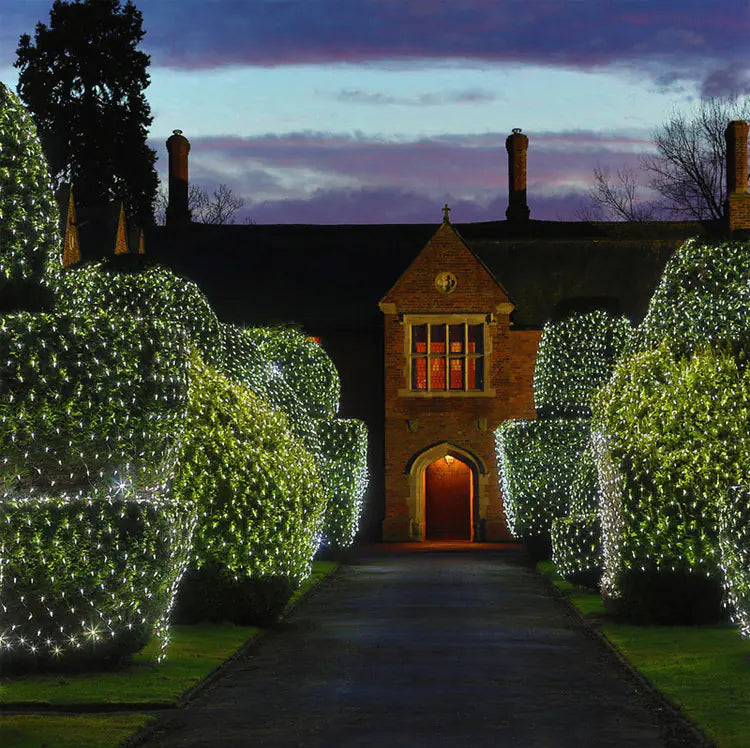 Festive Glow LED Christmas Lights - Starry Night